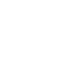 Financial Statements