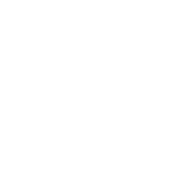 Financial Analysis & MIS Reporting